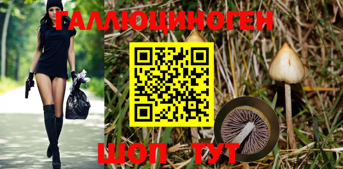 Псилоцибиновые грибы GOLDEN TEACHER  Вход с VPN  Мыски  Галлюциногенные грибы Magic Shrooms 